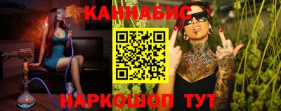дмт Шелехов