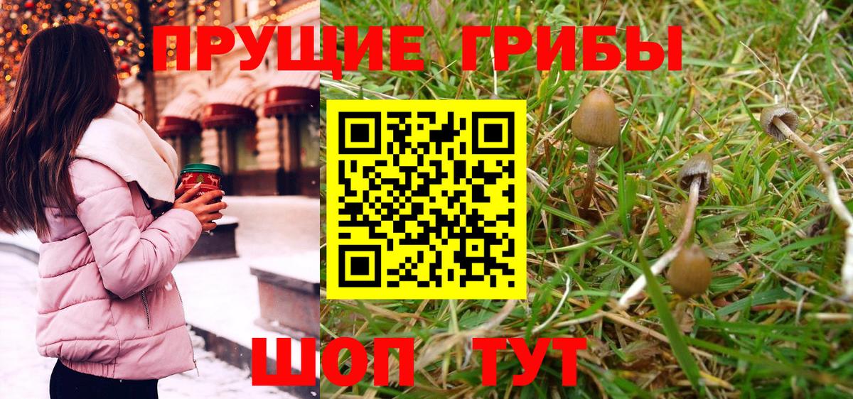 Галлюциногенные грибы Psilocybe  Вход с VPN  Корсаков 